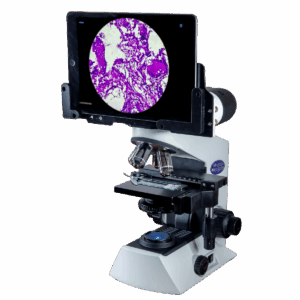 MX21i with Digital Head